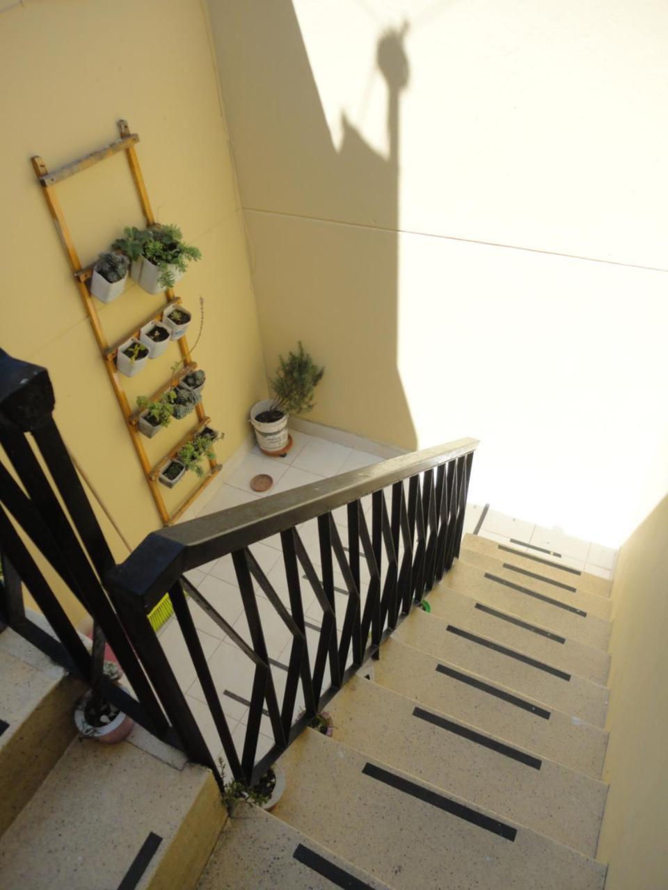 Selvatica Alojamiento Eco (Adults Only) ميديلين المظهر الخارجي الصورة
