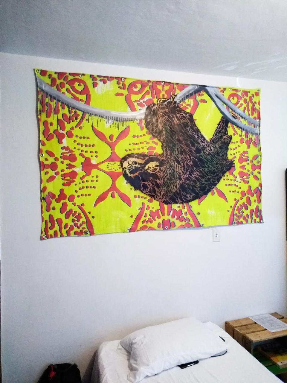 Selvatica Alojamiento Eco (Adults Only) ميديلين المظهر الخارجي الصورة