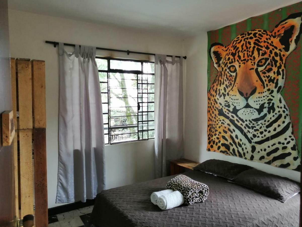 Selvatica Alojamiento Eco (Adults Only) ميديلين المظهر الخارجي الصورة