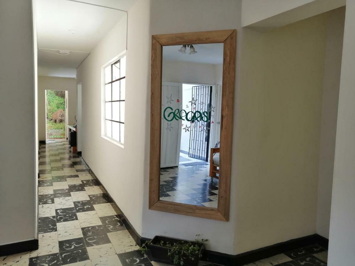 Selvatica Alojamiento Eco (Adults Only) ميديلين المظهر الخارجي الصورة